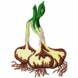 Garlic Embroidery Design 5 Garlic Embroidery Design 5